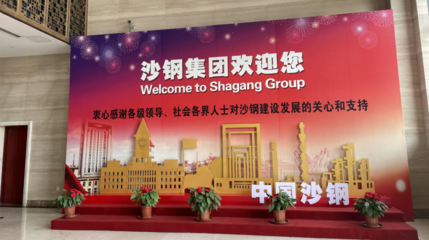 沙鋼股份股東會見聞 今年將在上海和深圳持續布局IDC業務，強化電子產品銷售